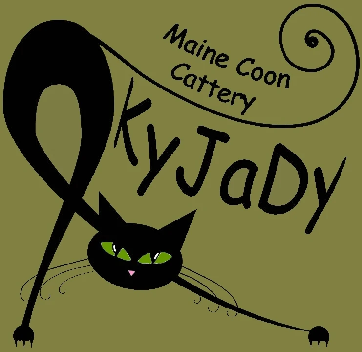 Logo Kyjady